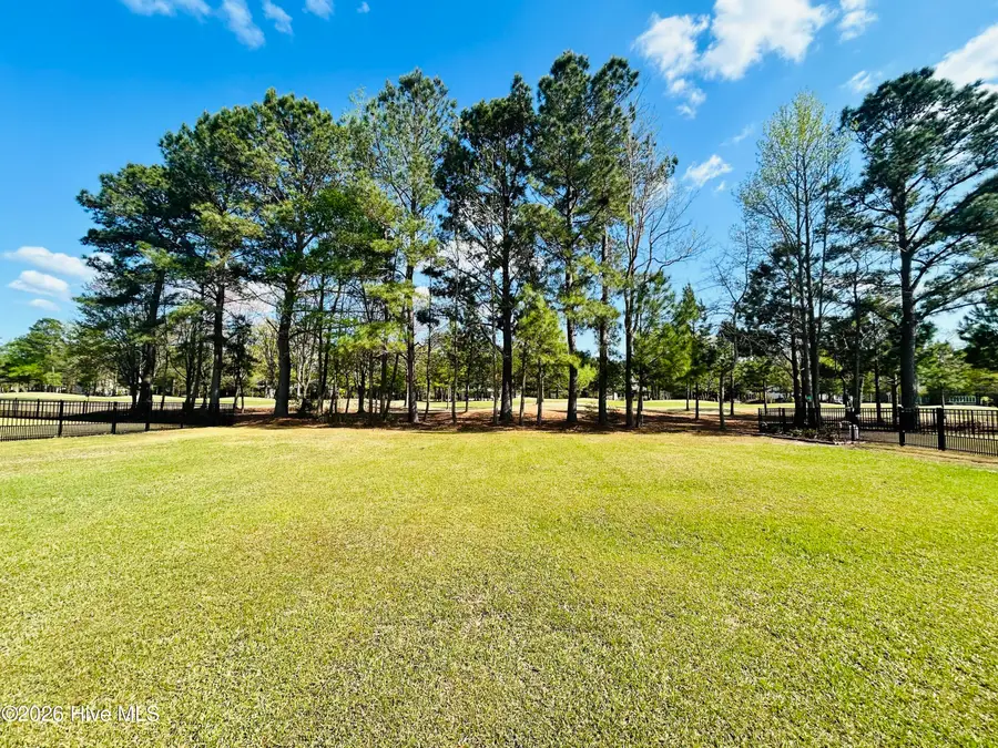 132 Falls Landing Way, Wallace, NC 28466 - #2