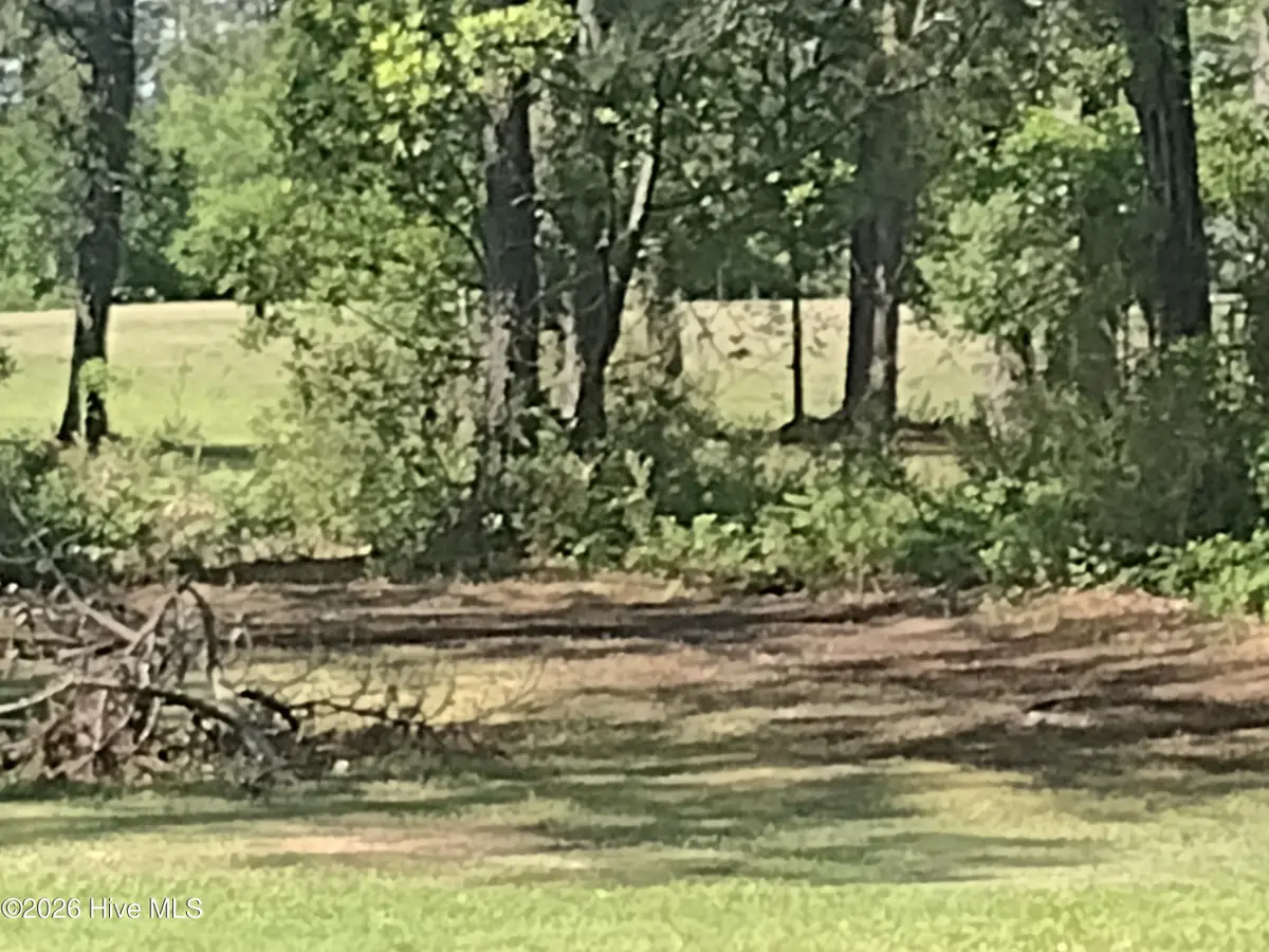 1733 Caracara Drive, New Bern, NC 28560 - #1