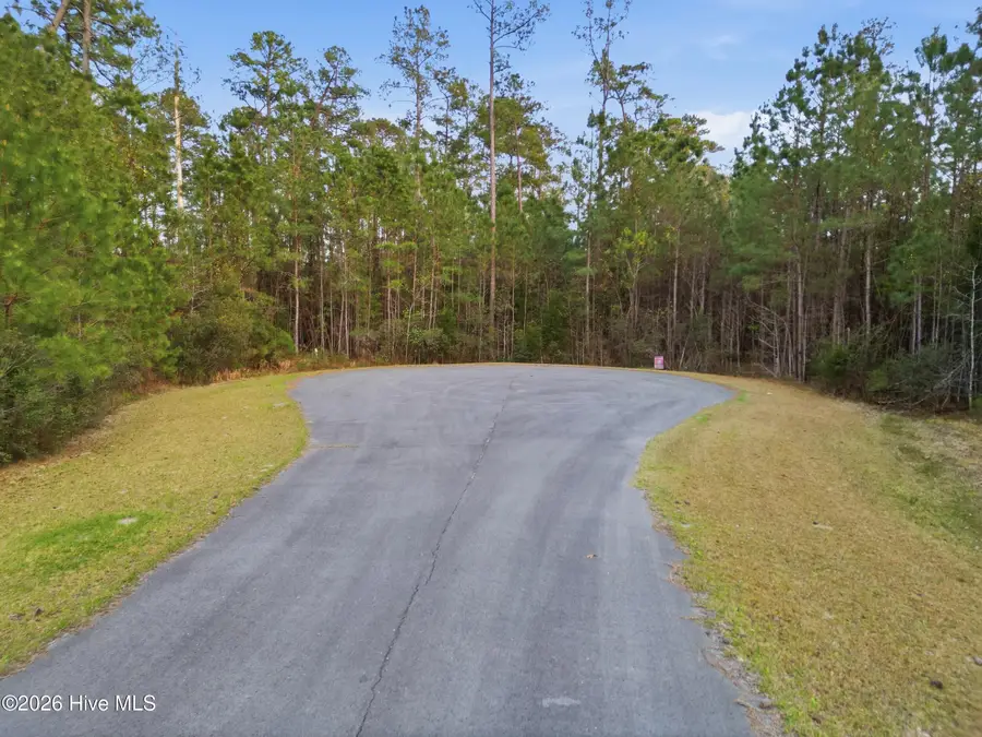 121 Mason Lane, Merritt, NC 28556 - #3