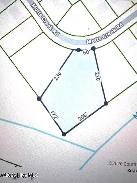 439 Motts Creek Road, Wilmington, NC 28412 - #3