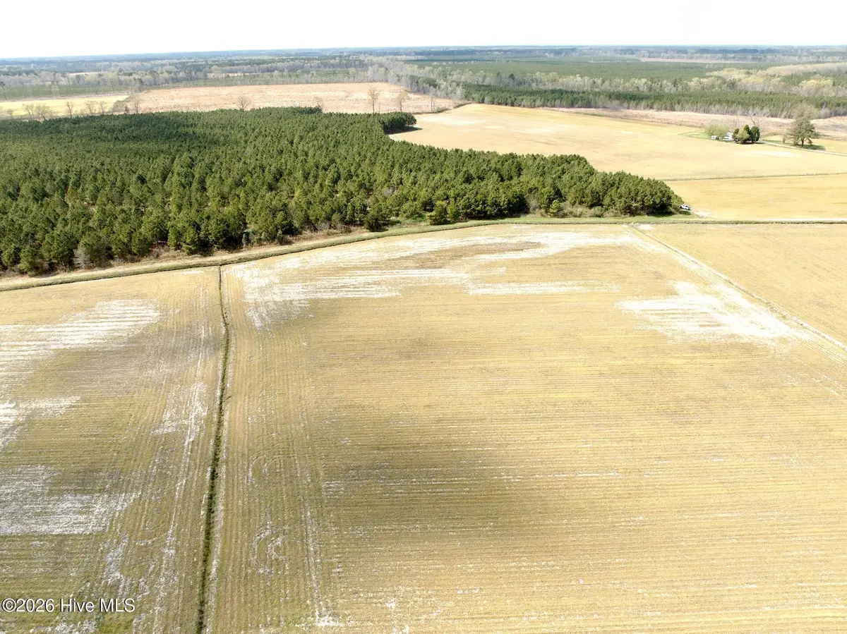 188 Black Mingle Road, Gates, NC 27937 - #1