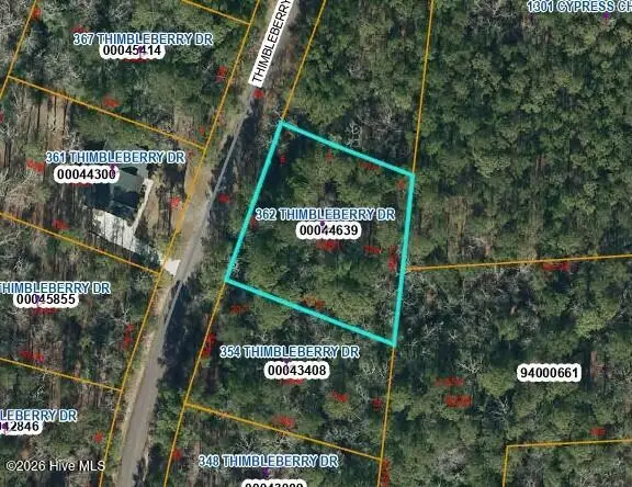 362 Thimbleberry Drive, Vass, NC 28394 - #3