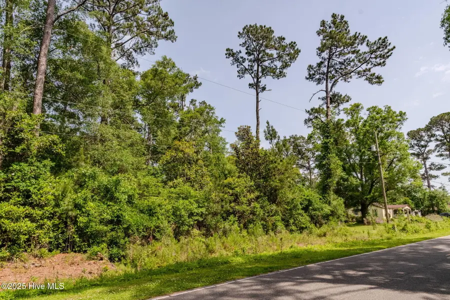 3014 Oakley Circle, Castle Hayne, NC 28429 - #2