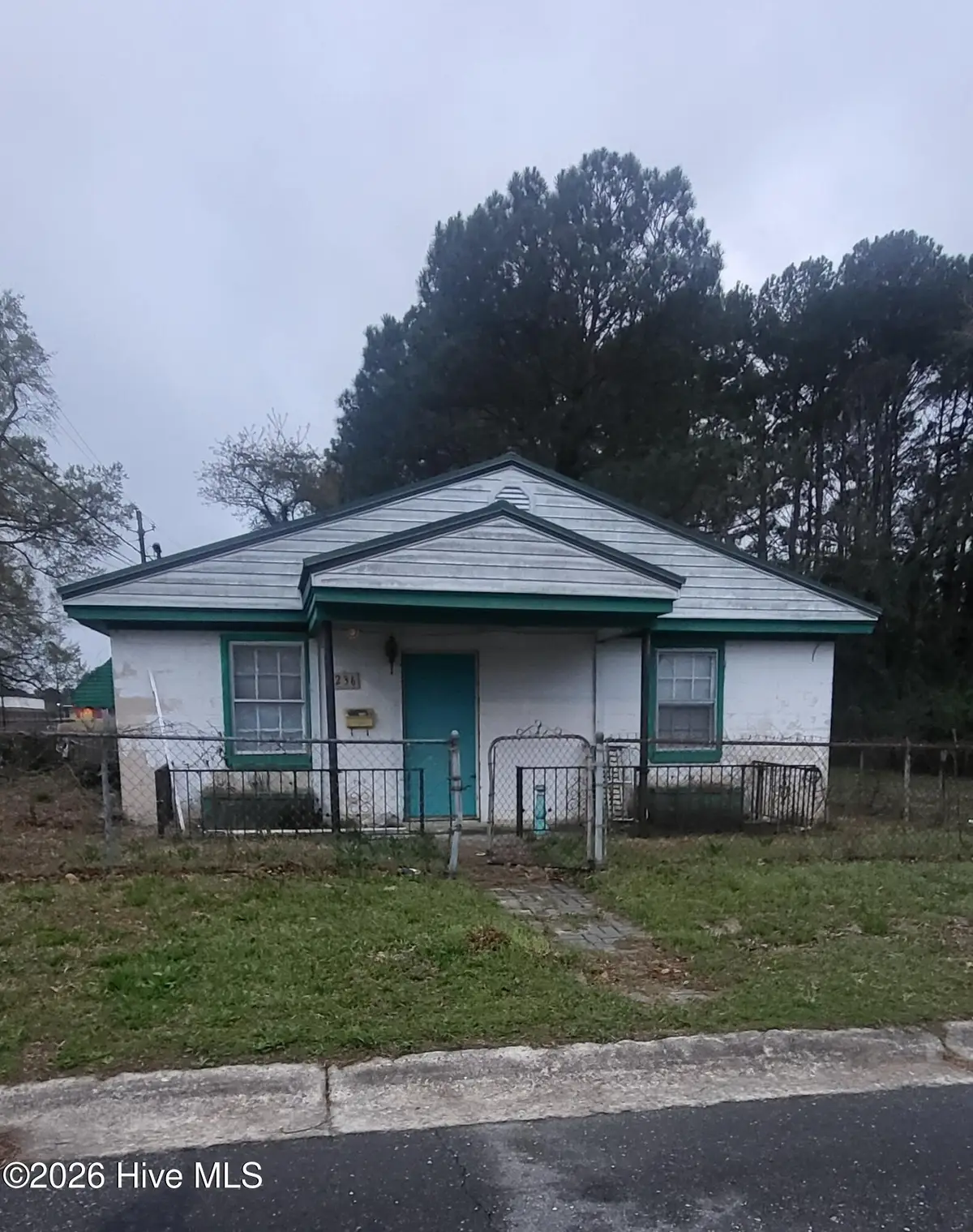236 Wayne Avenue, Goldsboro, NC 27530 - #1