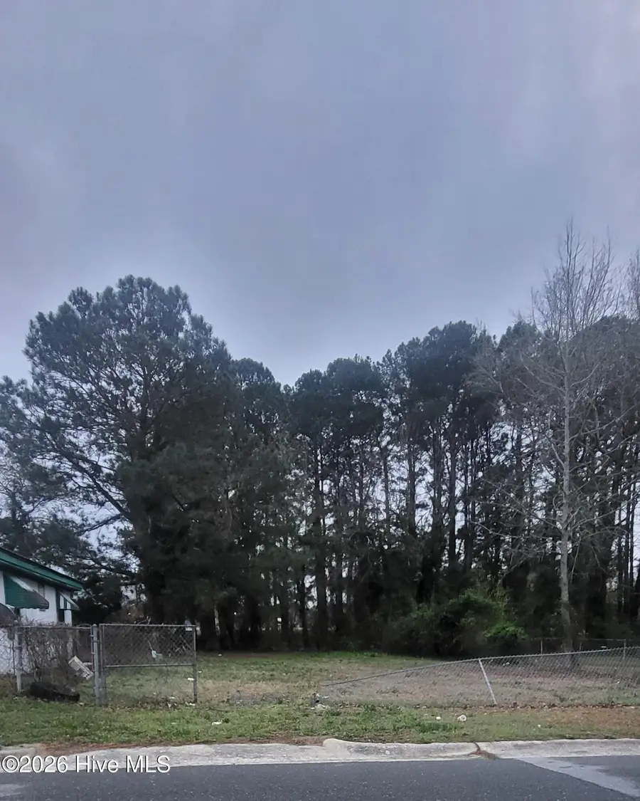 236 Wayne Avenue, Goldsboro, NC 27530 - #2