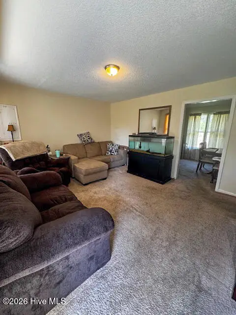 208 Holloman Road, Ahoskie, NC 27910 - #2