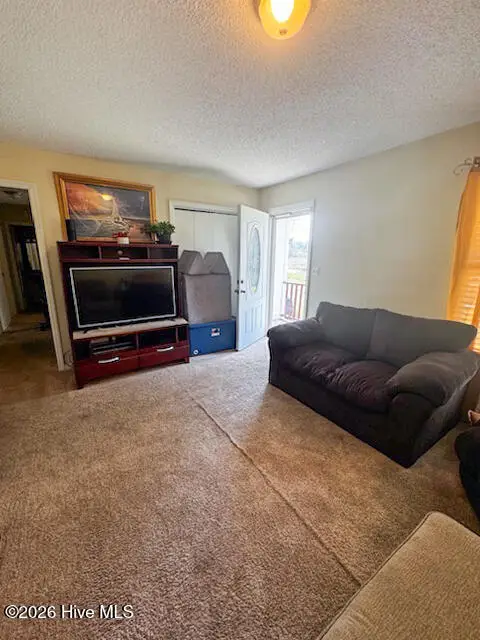 208 Holloman Road, Ahoskie, NC 27910 - #3