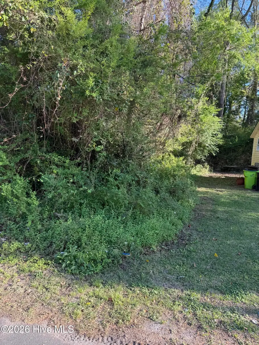 2509 New Bern Avenue, New Bern, NC 28560 - #2