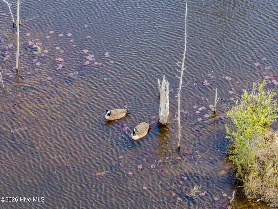 0 Lobelia Road, Vass, NC 28394 - #3