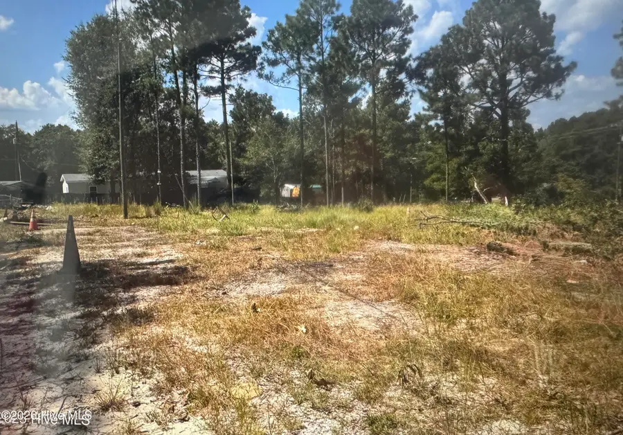 000 Wiregrass Road, Hamlet, NC 28345 - #2