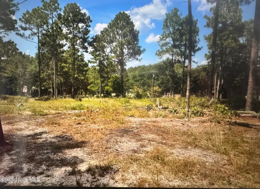 000 Wiregrass Road, Hamlet, NC 28345 - #3