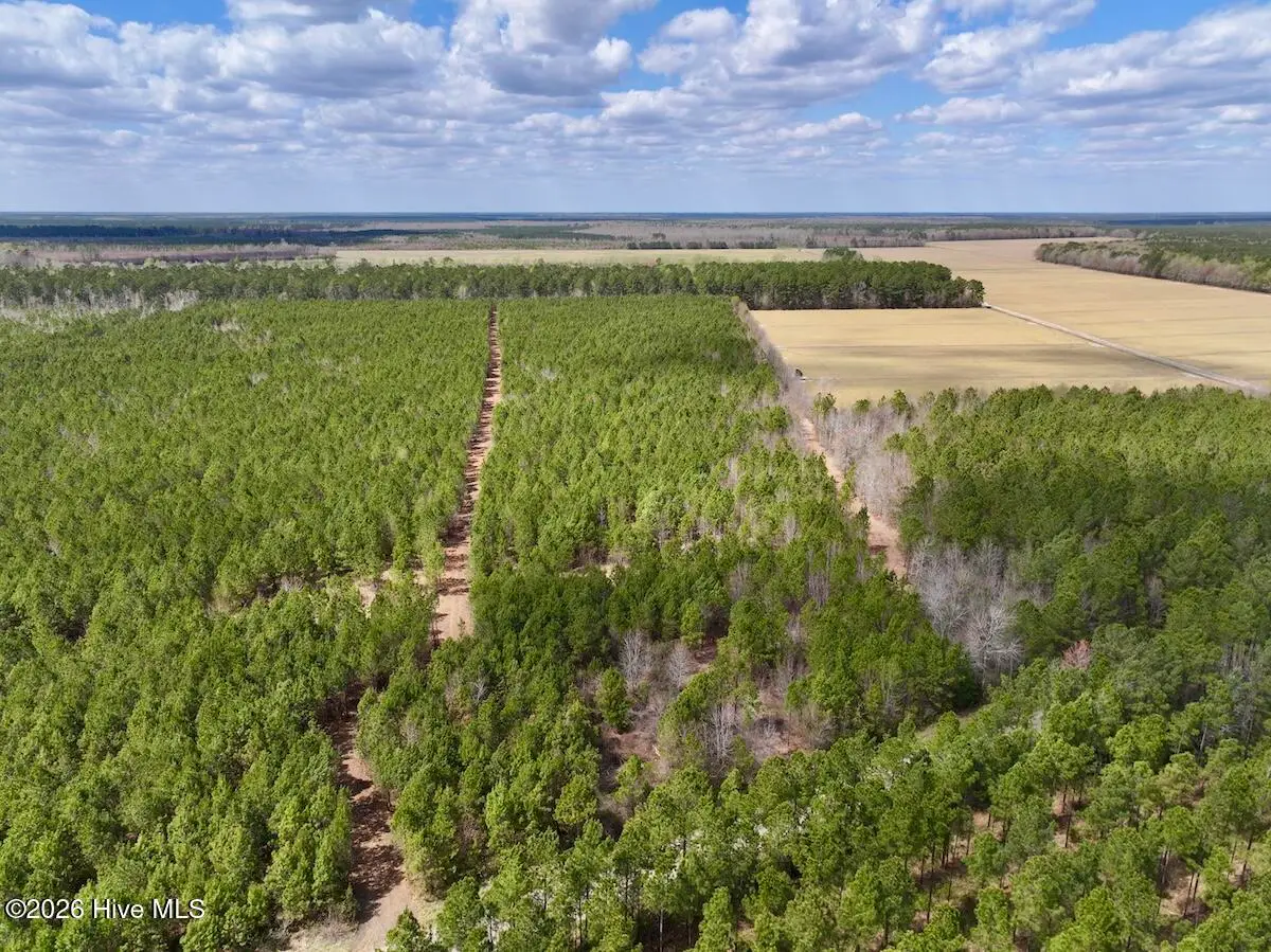 0 Guinea Mill Road Road, Ernul, NC 28527 - #1