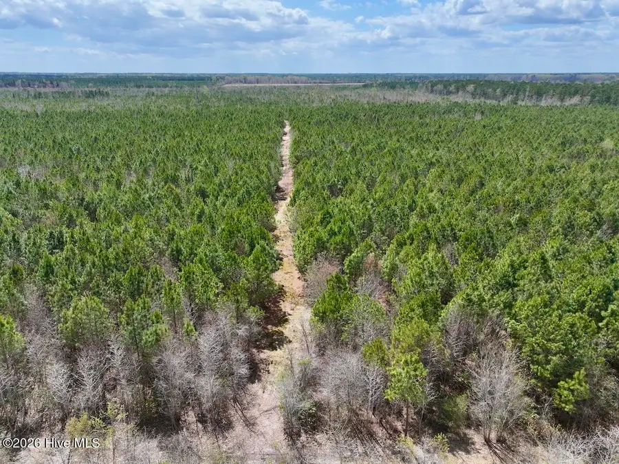 0 Guinea Mill Road Road, Ernul, NC 28527 - #3