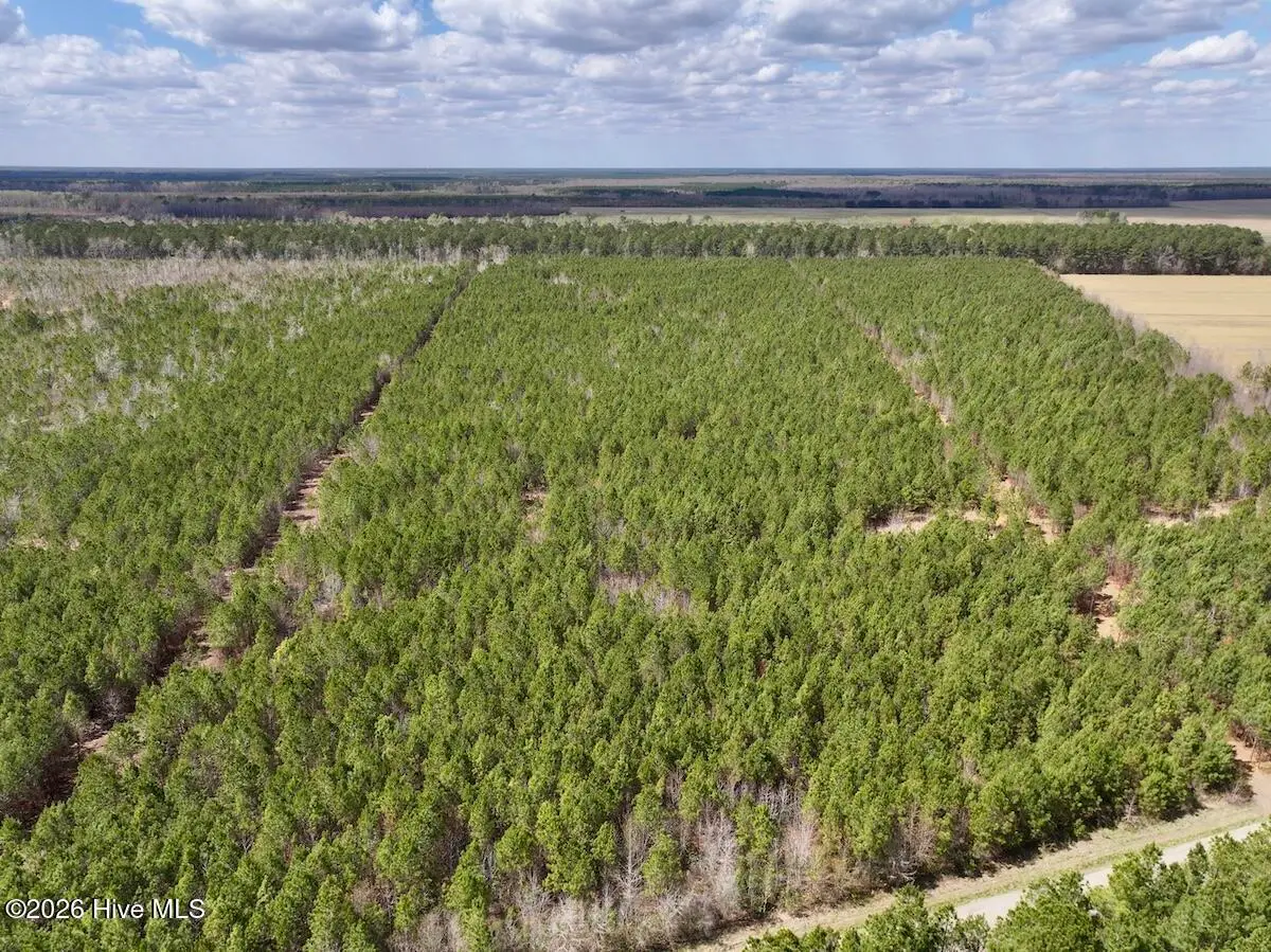 0 Guinea Mill Road, Ernul, NC 28527 - #1