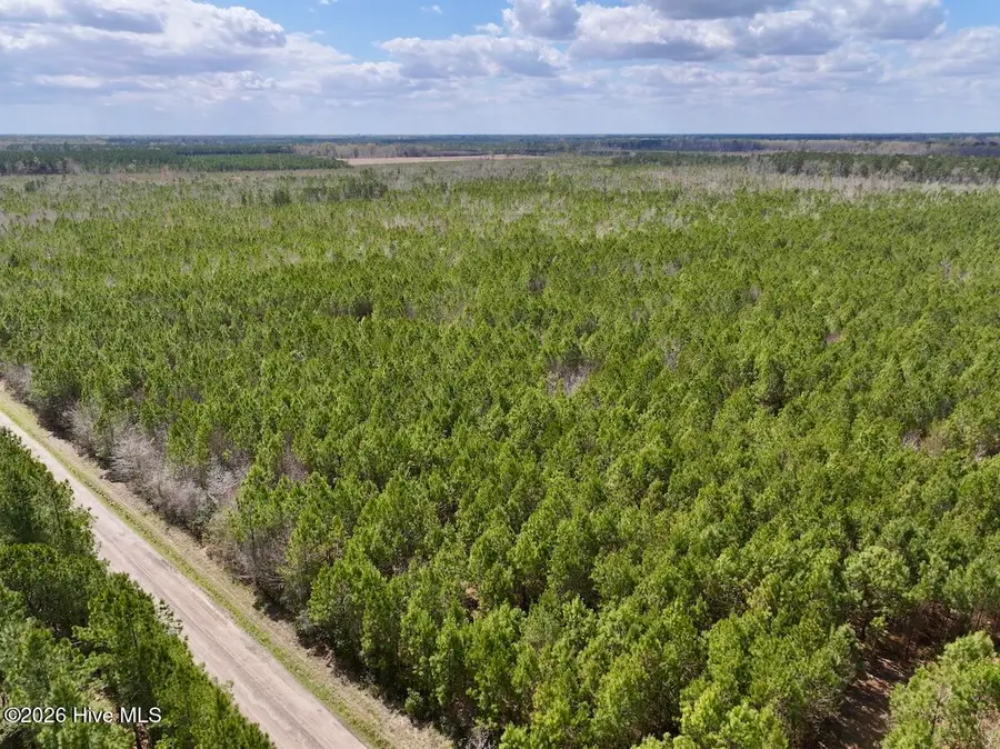 0 Guinea Mill Road, Ernul, NC 28527 - #2