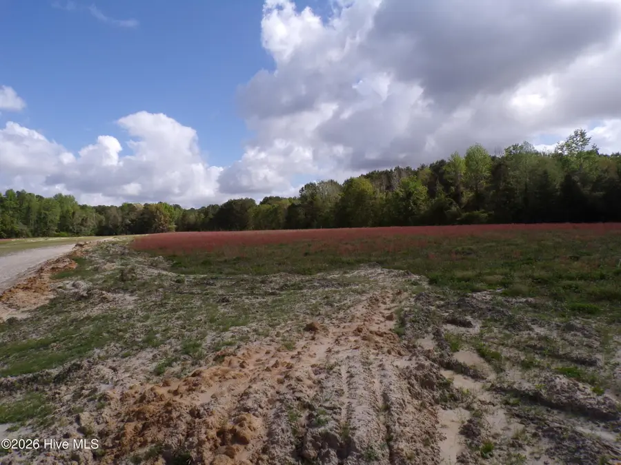 Near 158 Old Wilmington Road, Whiteville, NC 28472 - #2