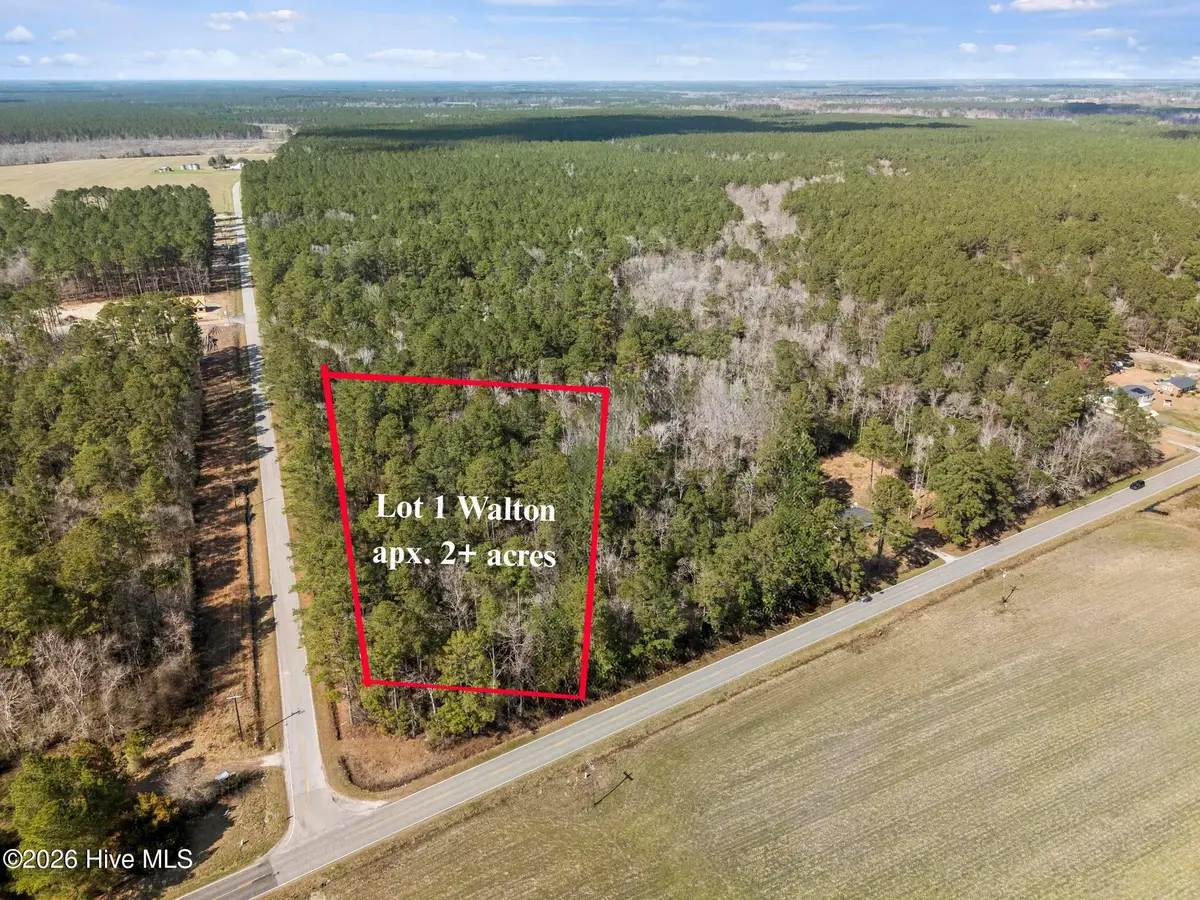 Lot 1 Page Rd (walton Lot 1) Court, Burgaw, NC 28425 - #1
