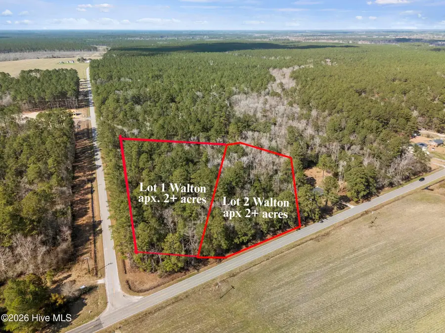 Lot 1 Page Rd (walton Lot 1) Court, Burgaw, NC 28425 - #2