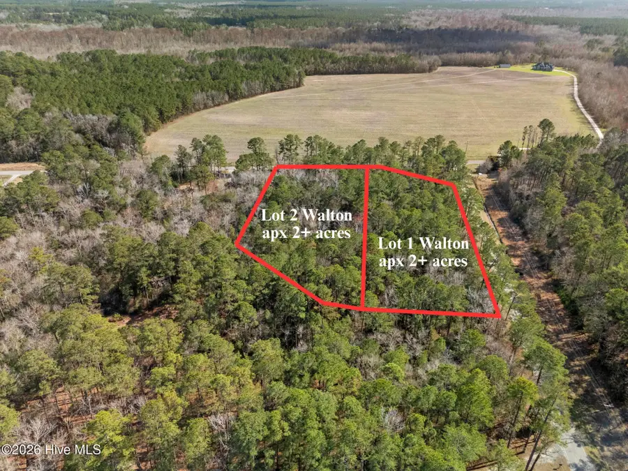 Lot 1 Page Rd (walton Lot 1) Court, Burgaw, NC 28425 - #3