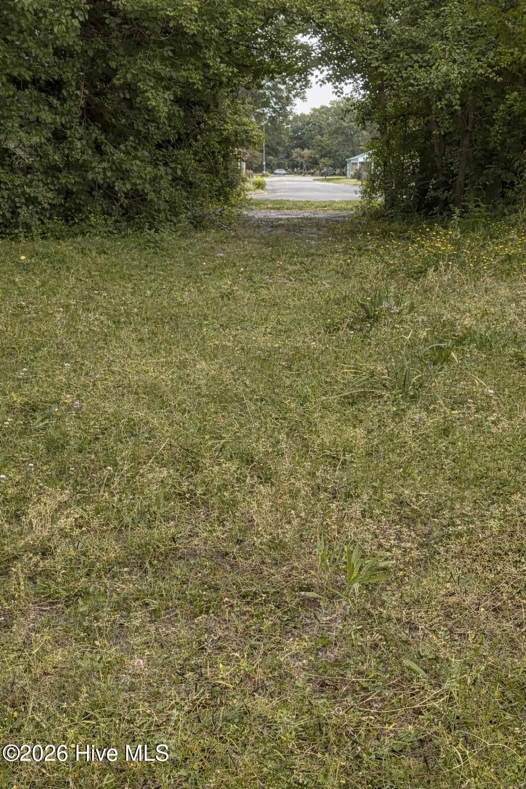 512 2nd Avenue, New Bern, NC 28560 - #1