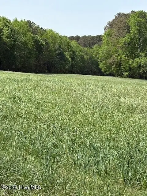 000 Leon Road, Nashville, NC 27856 - #2