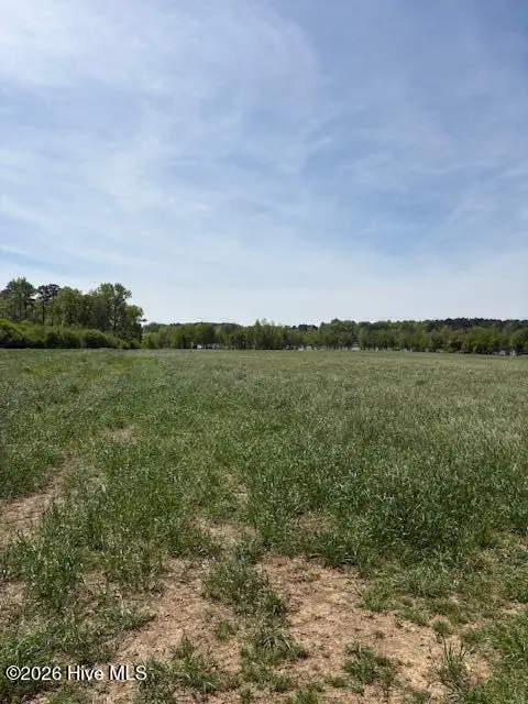 Tract 1 Leon Road, Nashville, NC 27856 - #1