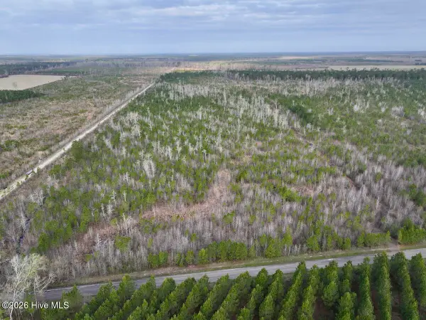 0 Guinea Mill Road, Ernul, NC 28527