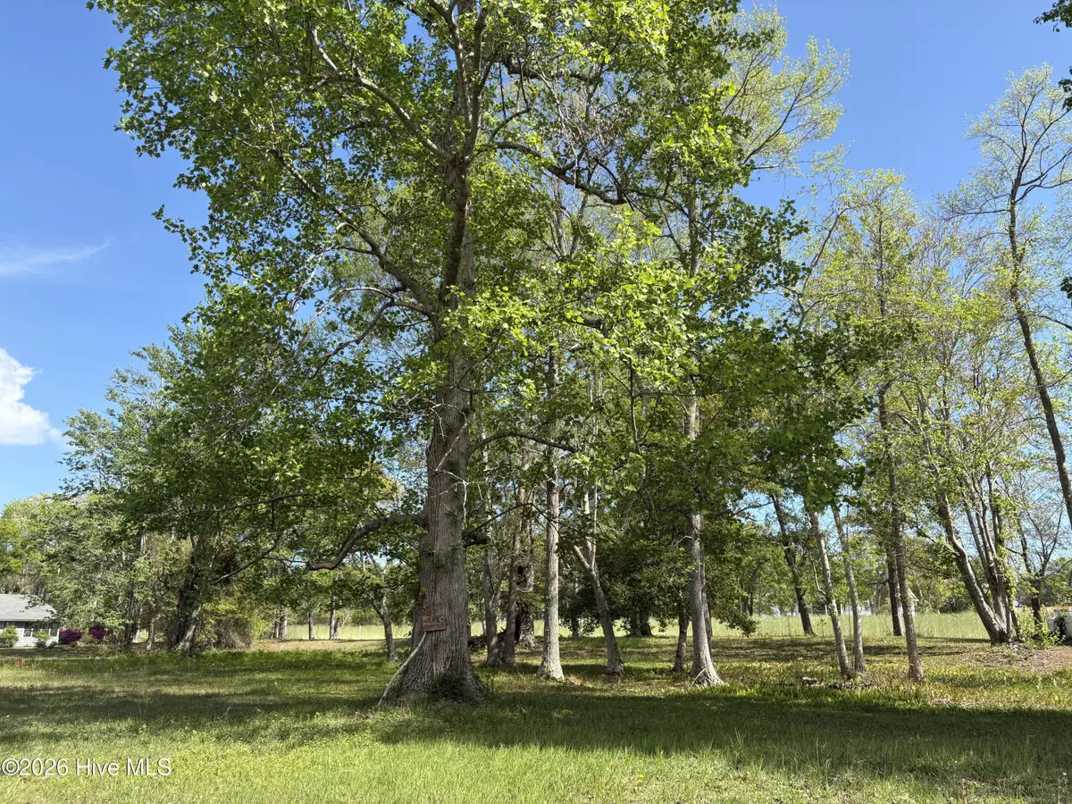 1781 Sandalwood Drive Sw, Ocean Isle Beach, NC 28469 - #1