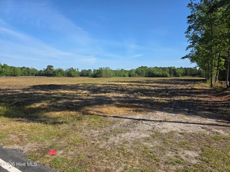 3917 Gaddy Road, Fairmont, NC 28340 - #2