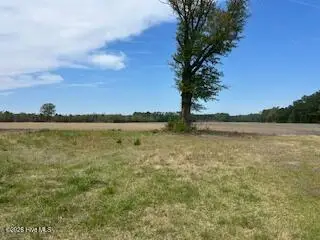 201 Richardson Road, Dover, NC 28526 - #3