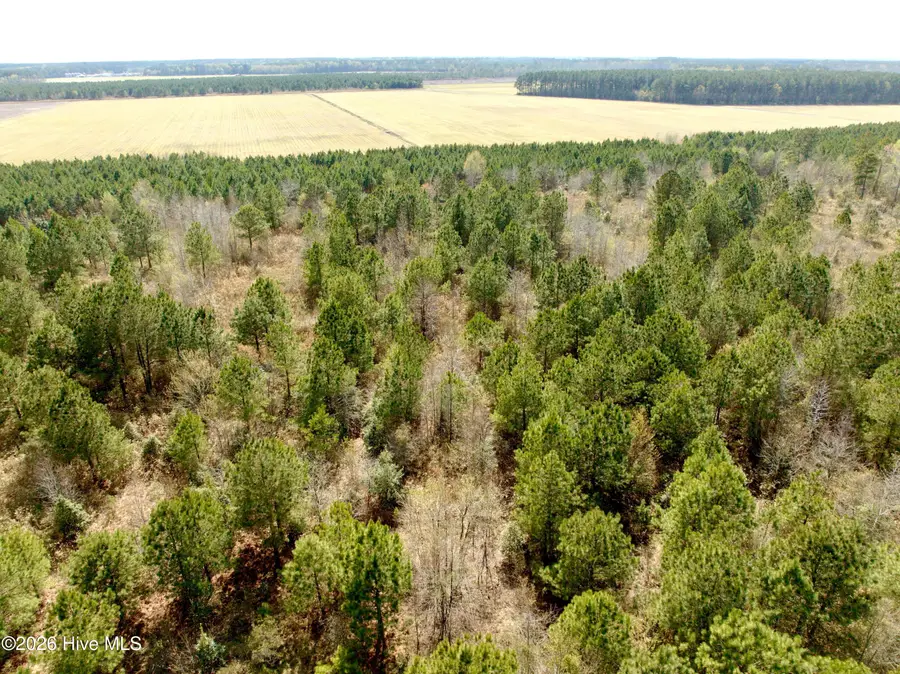 0 Black Mingle Road, Gates, NC 27937 - #3