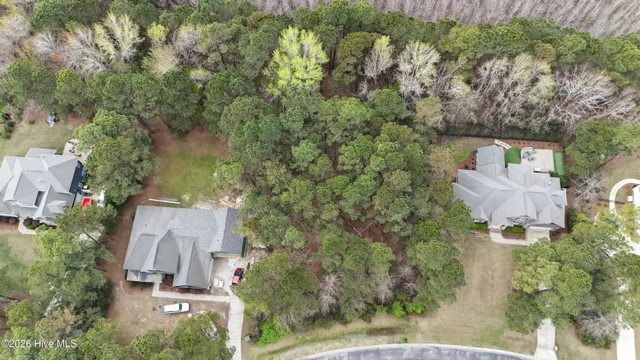 135 Hydrangea Lane, Hampstead, NC 28443 - #3