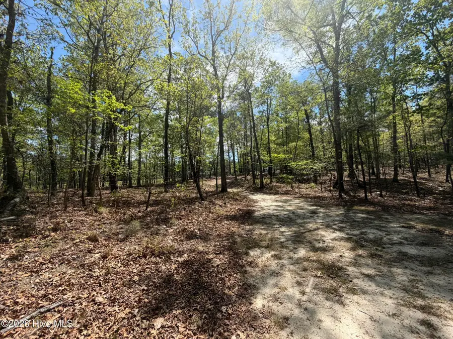 1016r Cedar Lane, Seven Lakes, NC 27376 - #2