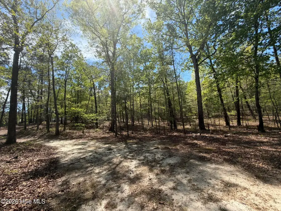 1016r Cedar Lane, Seven Lakes, NC 27376 - #3