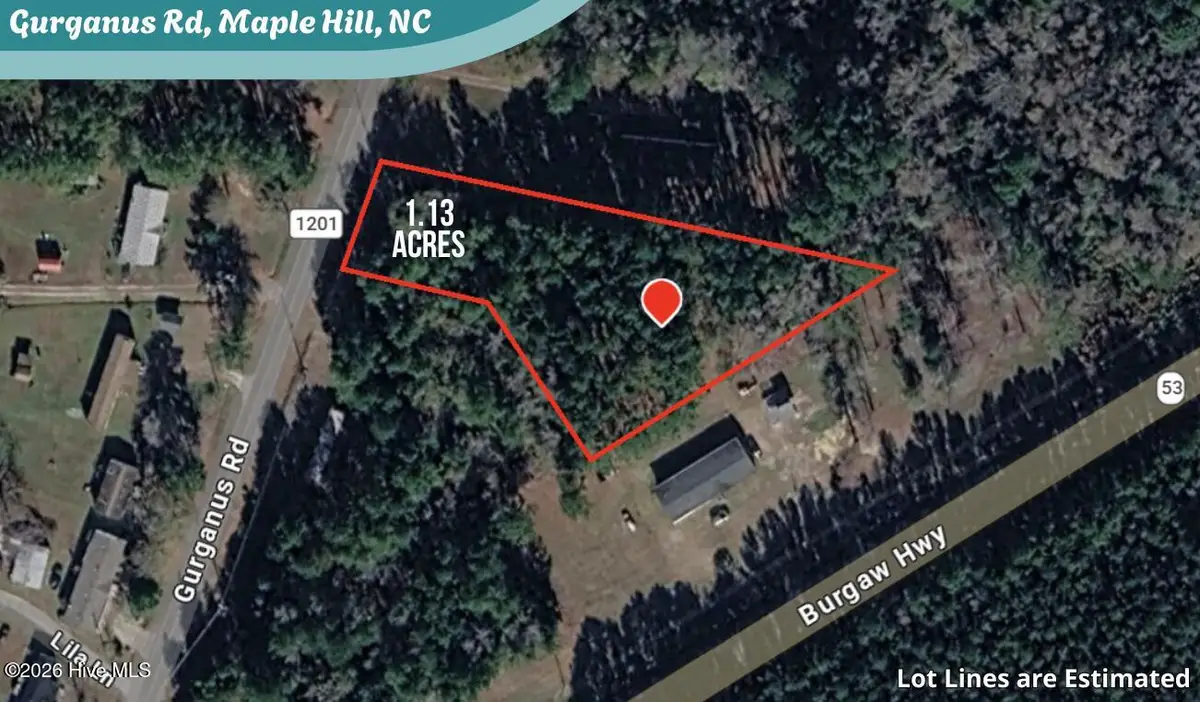 1.13 Acres Gurganus Road, Maple Hill, NC 28454 - #1