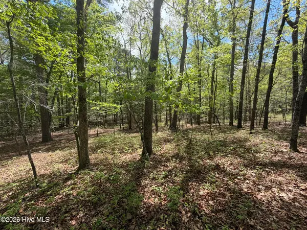 1014r Cedar Lane, Seven Lakes, NC 27376