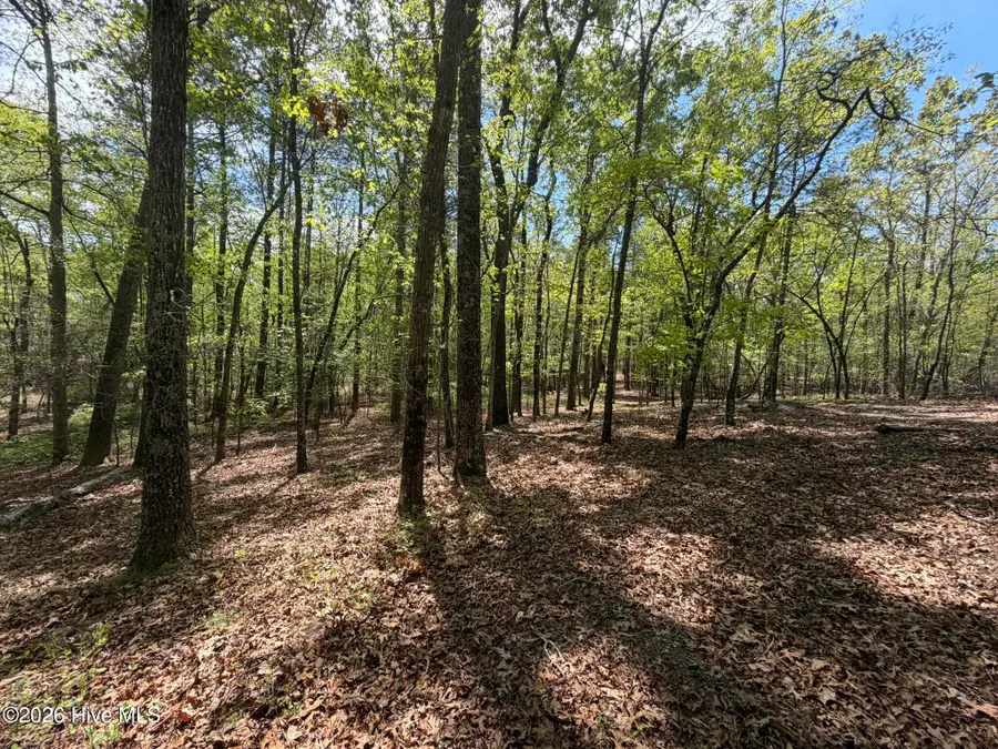 1014r Cedar Lane, Seven Lakes, NC 27376 - #3