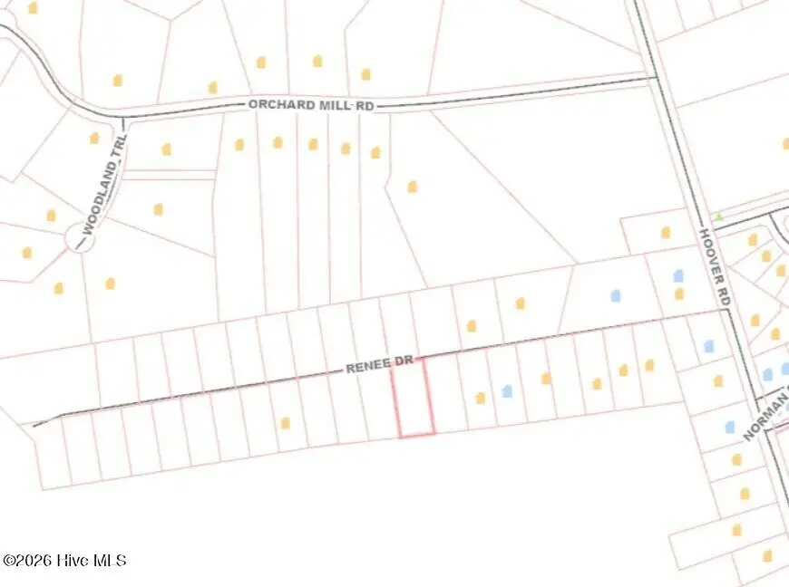 Lot 2 Renee Drive, Hampstead, NC 28443 - #3