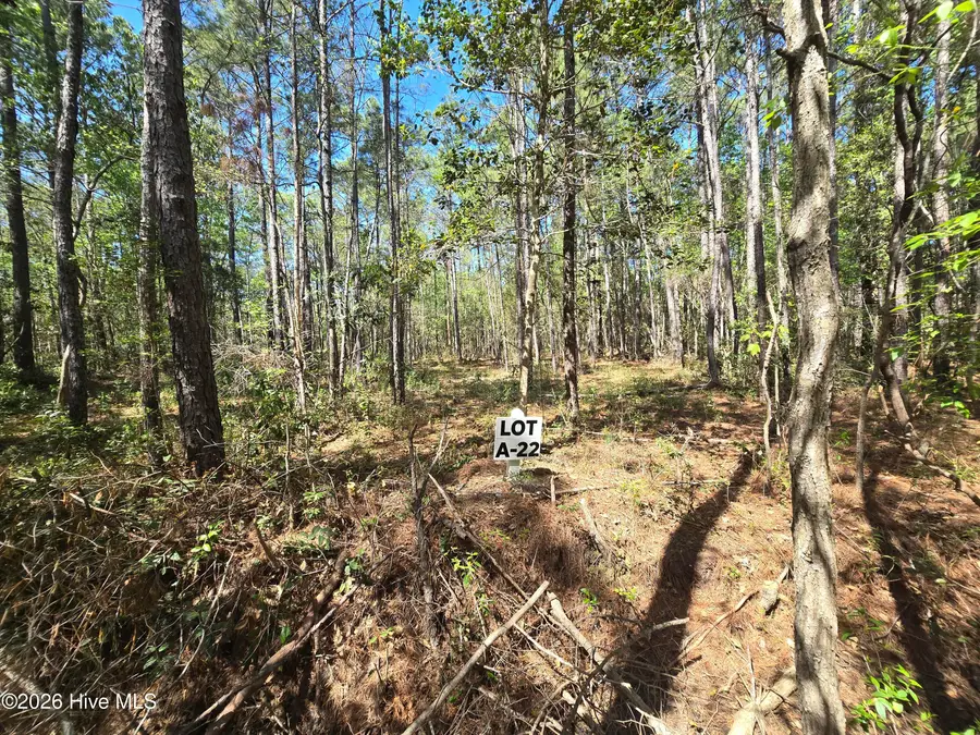 Lot A-22 Renee Drive, Hampstead, NC 28443 - #2