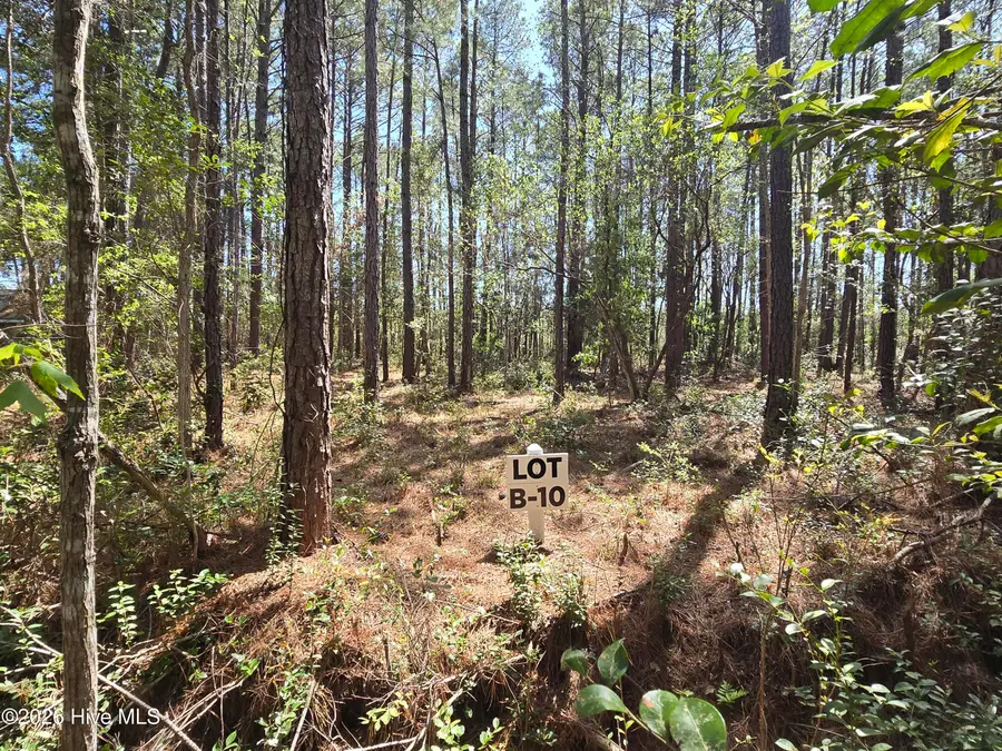 Lot B-10 Renee Drive, Hampstead, NC 28443 - #2