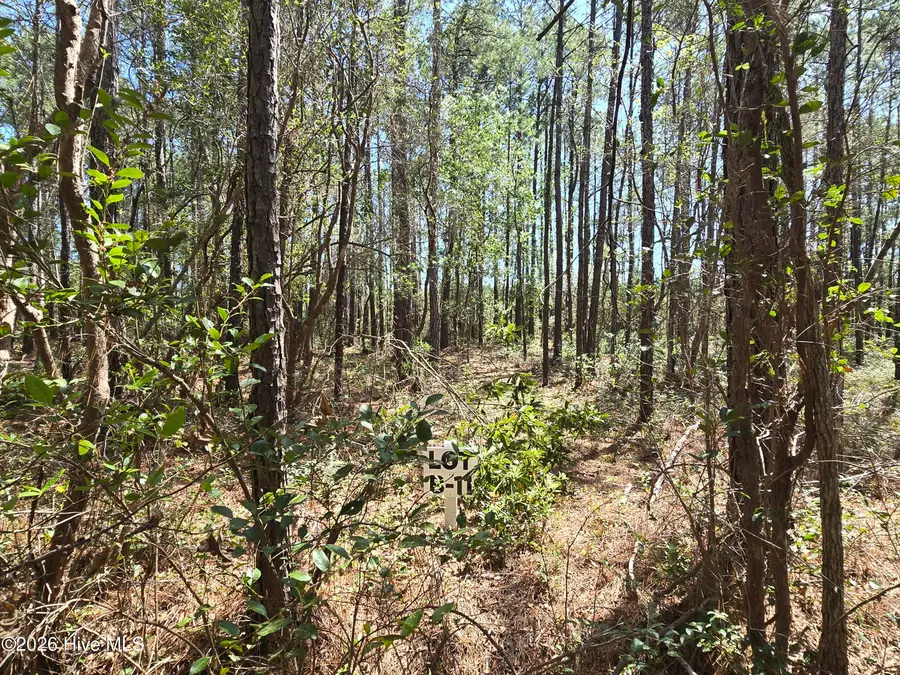 Lot B-11 Renee Drive, Hampstead, NC 28443 - #2