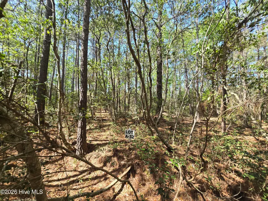 Lot A-32 Renee Drive, Hampstead, NC 28443 - #3