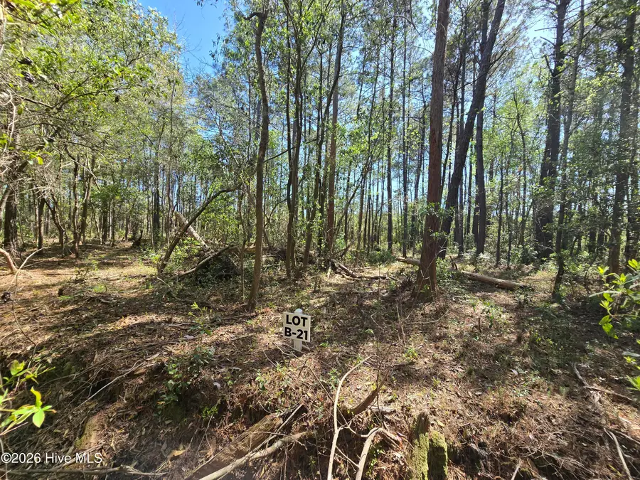 Lot B-21 Renee Drive, Hampstead, NC 28443 - #3
