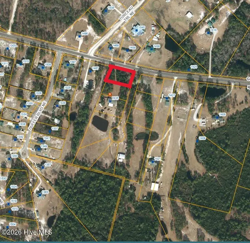 1435 Green Hill Road Ne, Leland, NC 28451 - #2