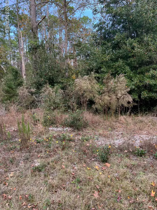 230 Redwood Road, Southport, NC 28461