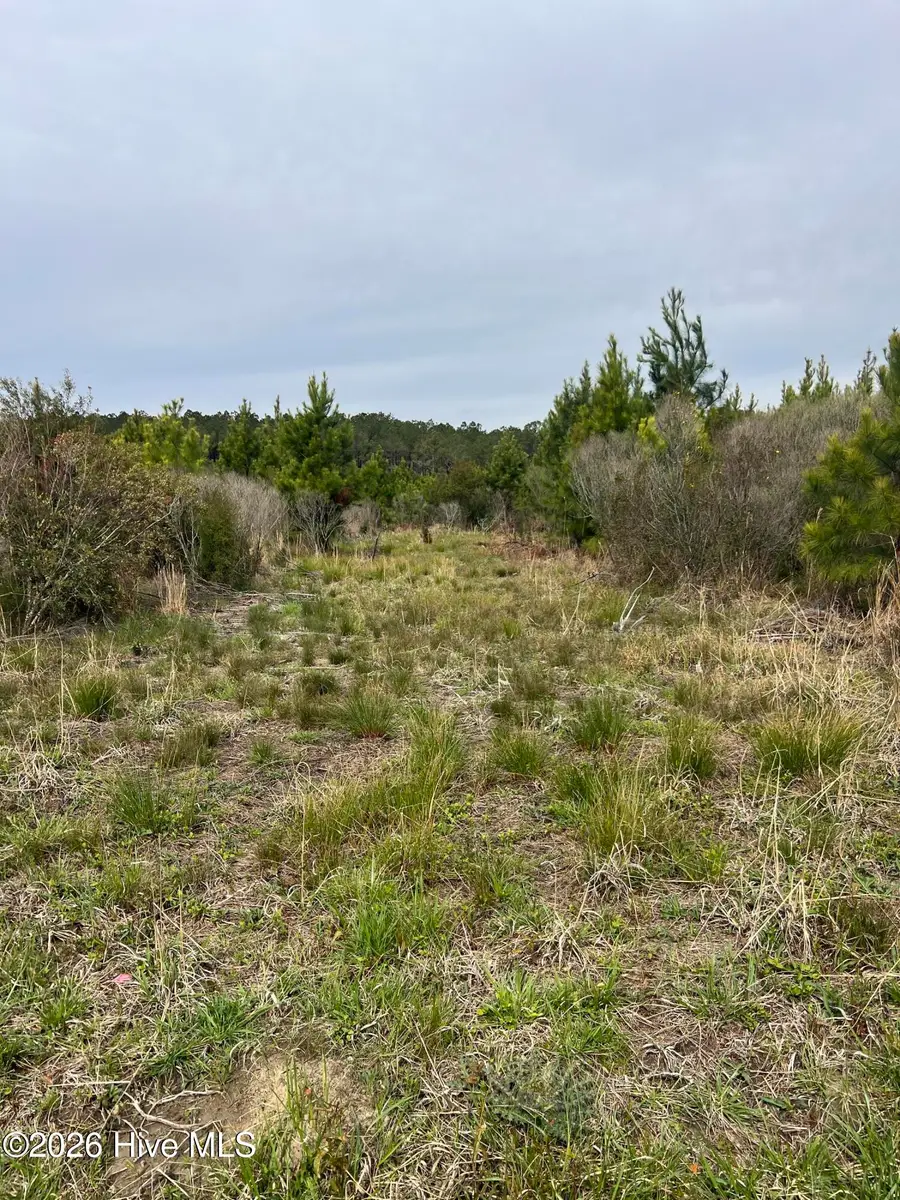 0 Flynn Avenue, Belhaven, NC 27810 - #3