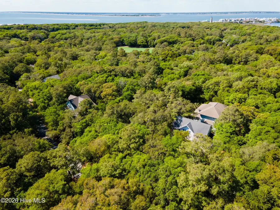 1 Sabal Palm Trail, Bald Head Island, NC 28461 - #2