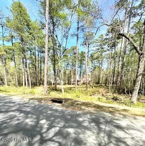 14 Bedford Circle, Pinehurst, NC 28374 - #3