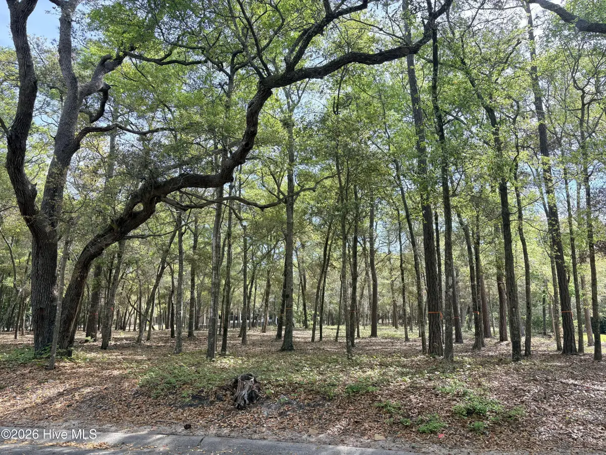 3456 Concordia Avenue Sw, Supply, NC 28462 - #1