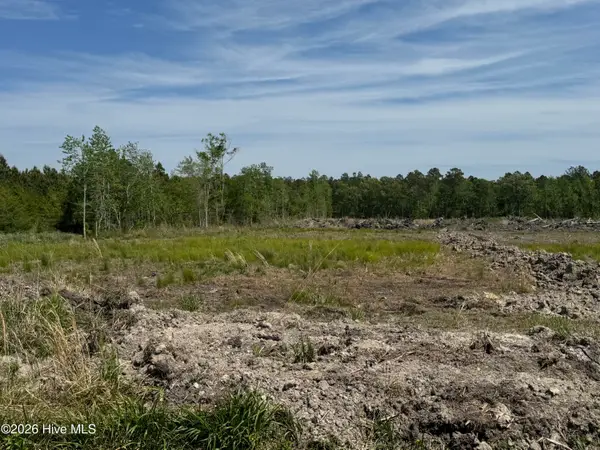 3 Hwy 264 E, Scranton, NC 27875